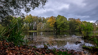 DSCF0350