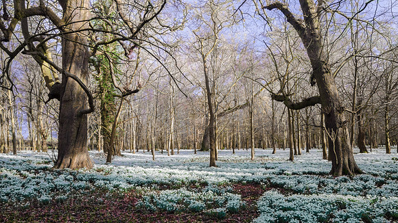 Welford Park