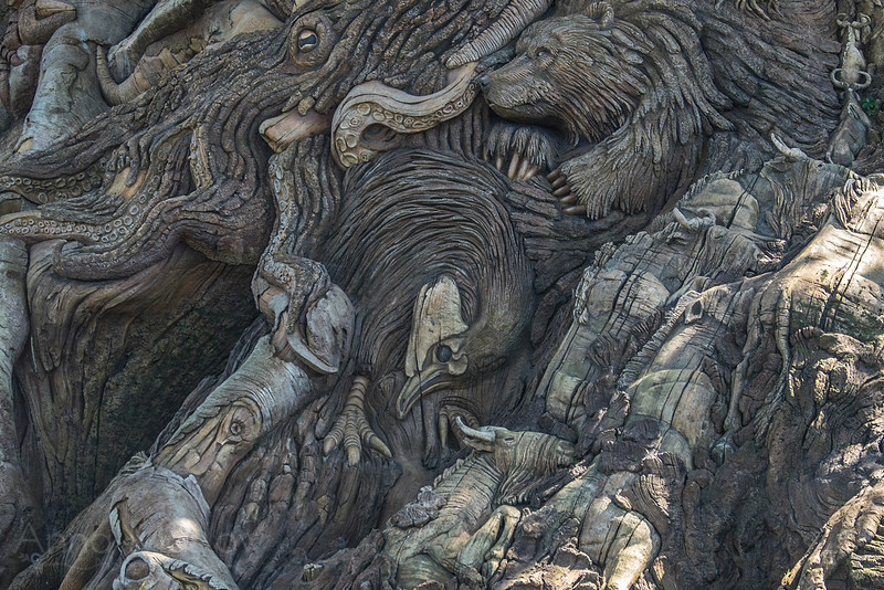 DSCF8397