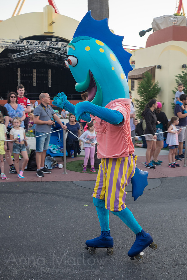 DSCF8721