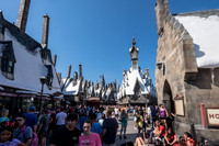 DSCF9564