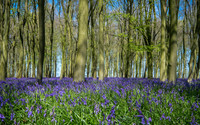 Oxfordshire