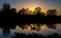 Ardington