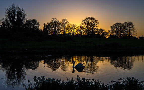 Ardington
