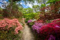 Parks and Gardens