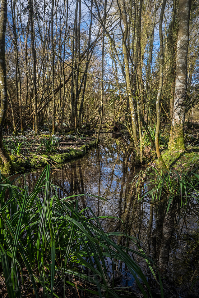 20150218-DSCF6354