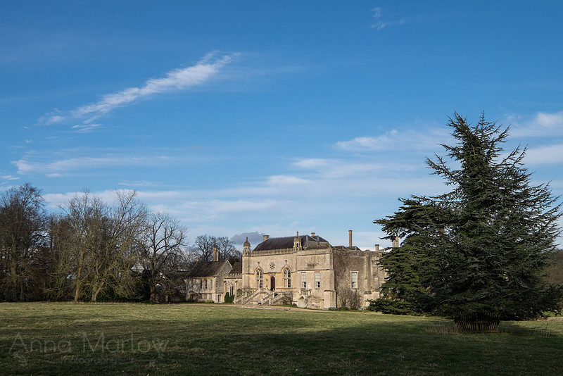 20150226-DSCF7177