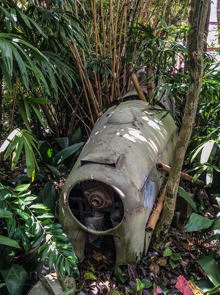 20150408-IMG_1813
