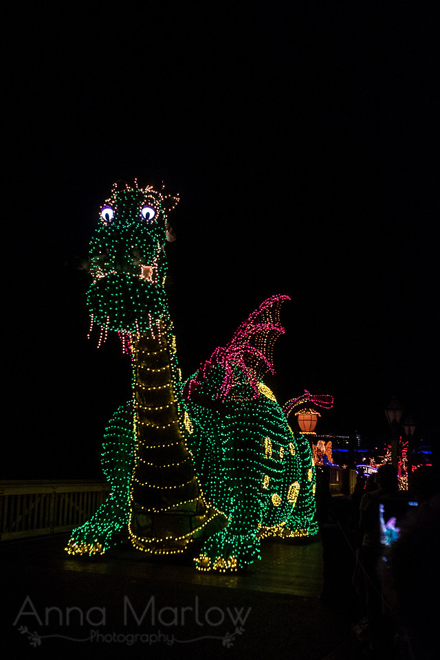 DSCF0550