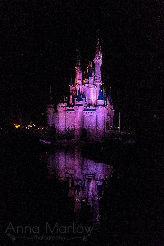 DSCF0576