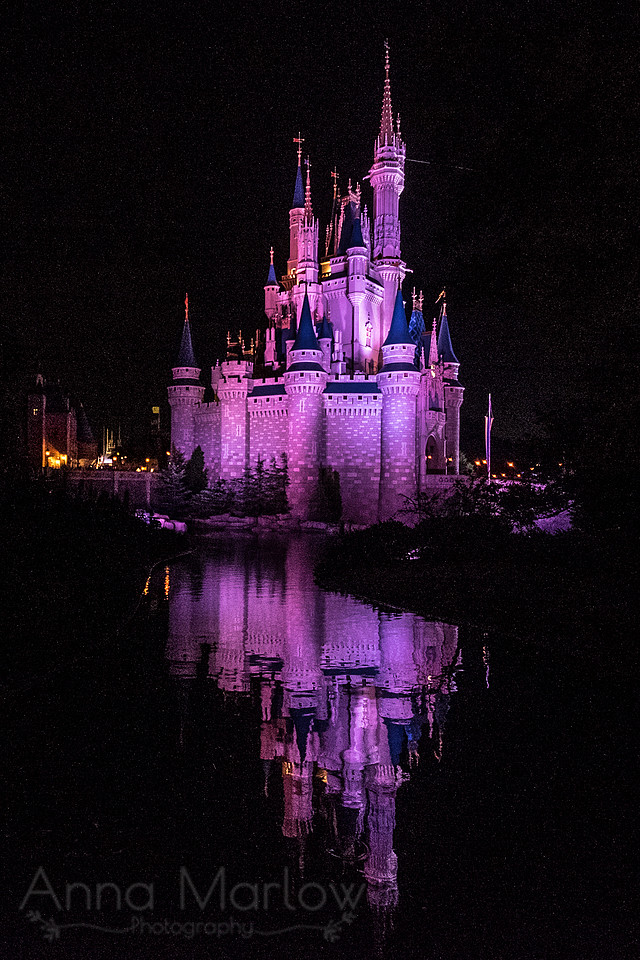 DSCF0577