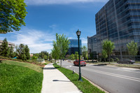20150411-DSCF0599