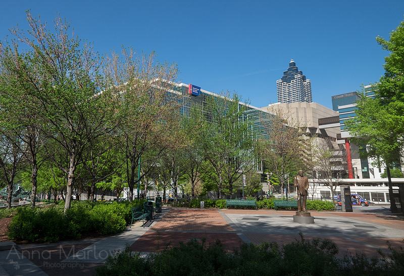 20150411-DSCF0651