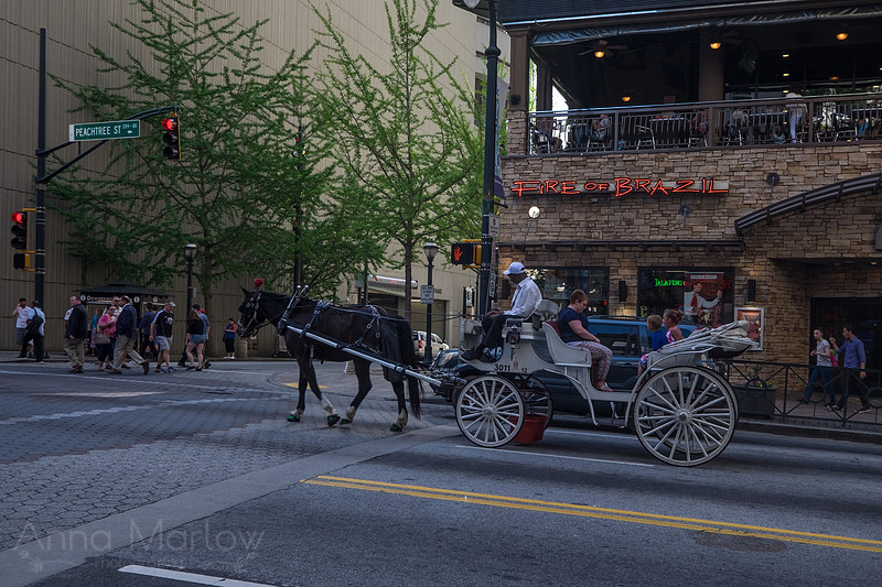 20150411-DSCF0681