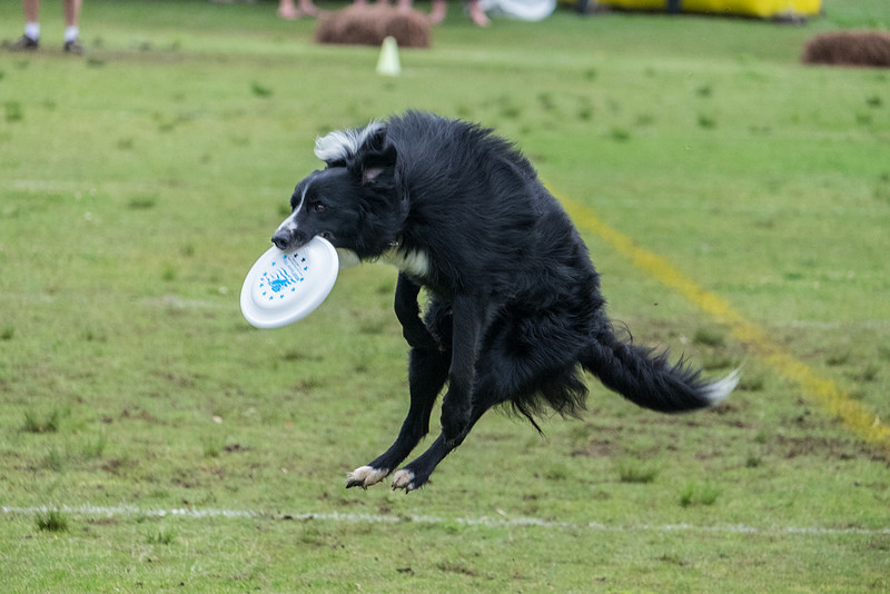 20150412-DSCF0801