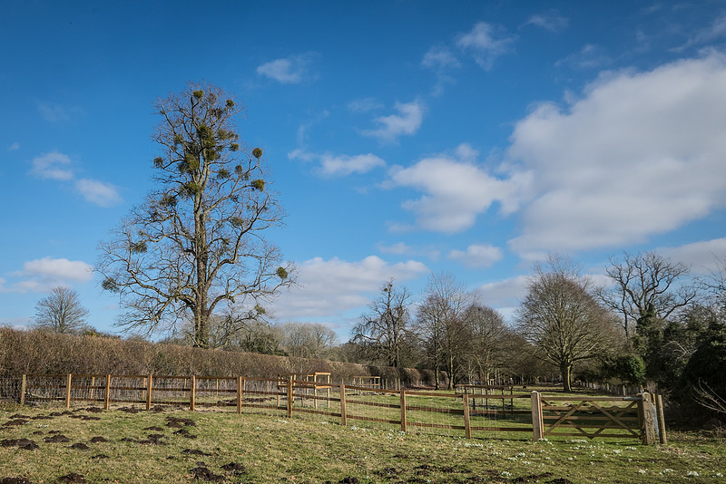 20150218-DSCF6362