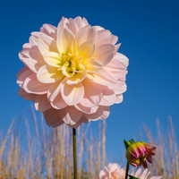 DSCF9322