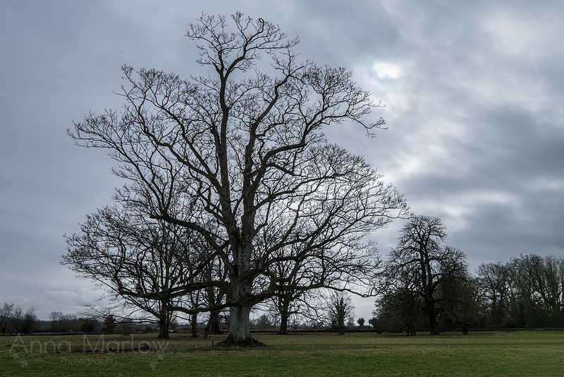 20150226-DSCF7055