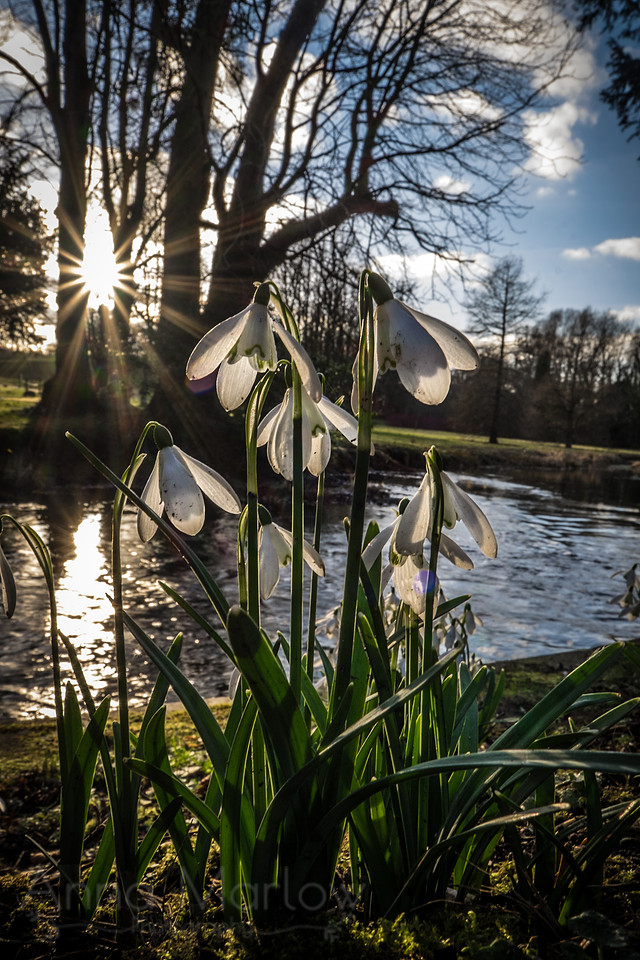 20150218-DSCF6482
