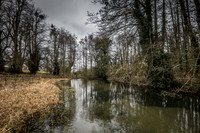 20150212-DSCF6008