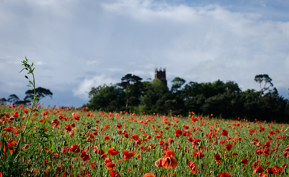 Faringdon Folly