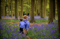 In and Out the Dusty Bluebells