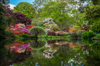 Colours of Nature