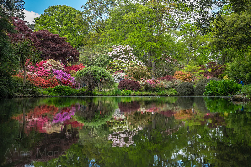 Colours of Nature