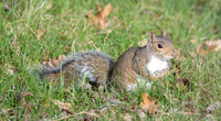 _DSC3713-Edit