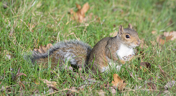 _DSC3713-Edit
