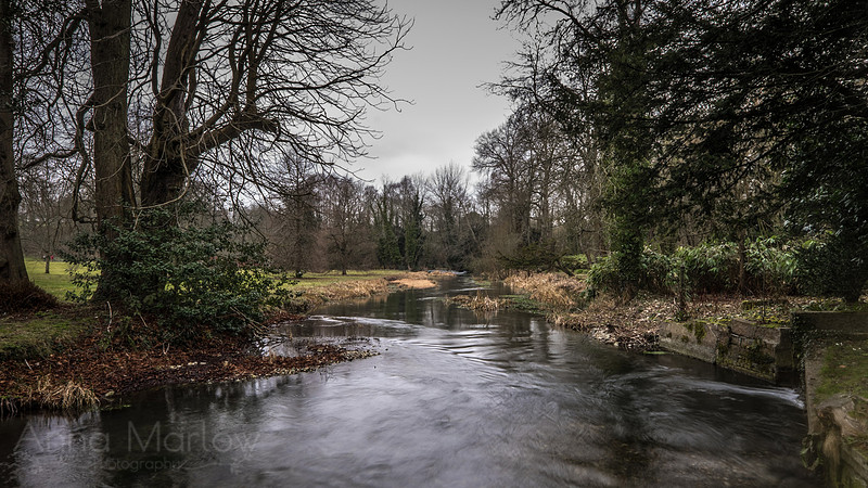 20150212-DSCF6050