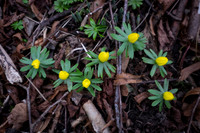 20150212-DSCF6080
