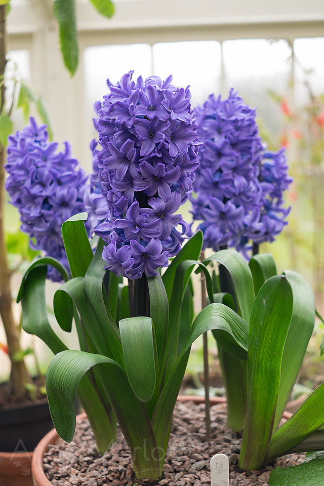 20150226-DSCF7099