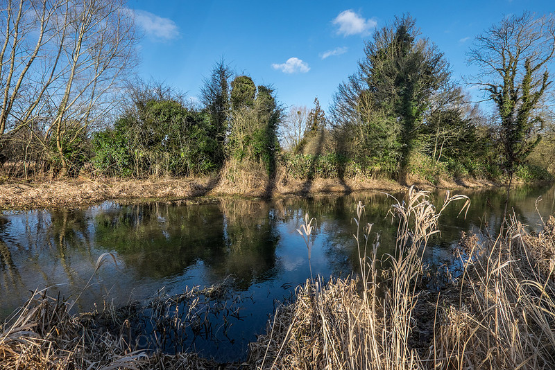 20150218-DSCF6403