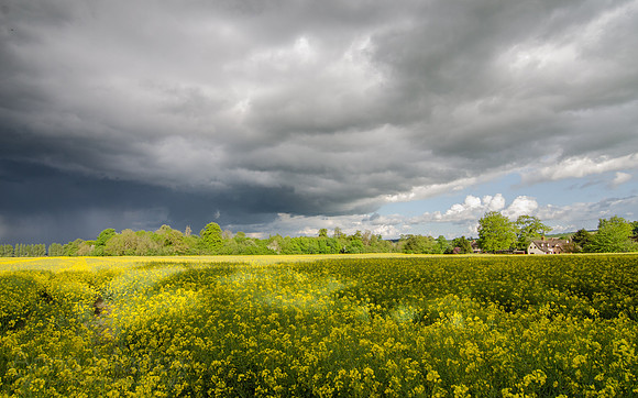 The Passing Storm.