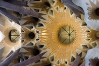La Sagrada Familia, ceiling detail.
