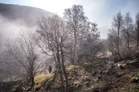 Wales