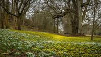 20150212-DSCF6011