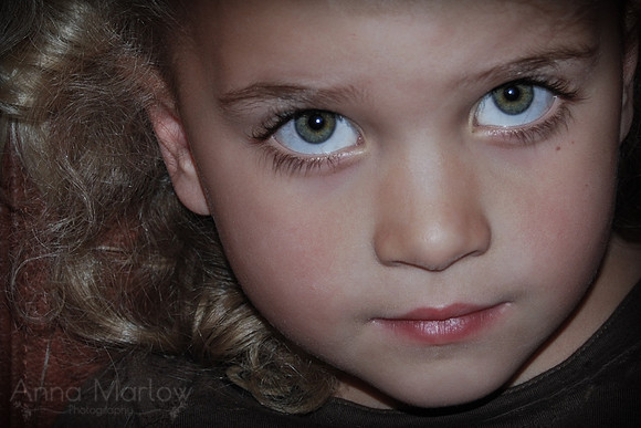 20071116-DSC_0072