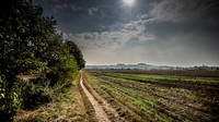 DSCF8331-Edit