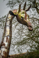 20150212-DSCF6025