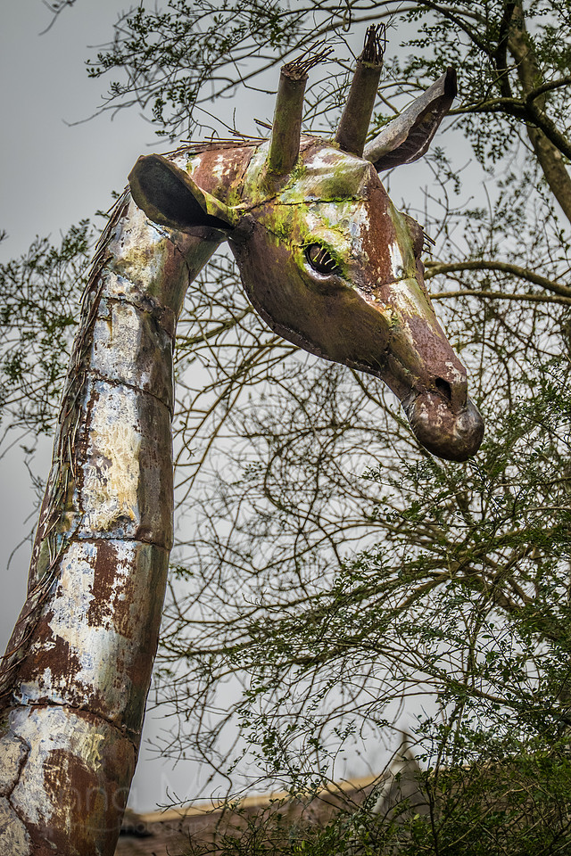20150212-DSCF6025