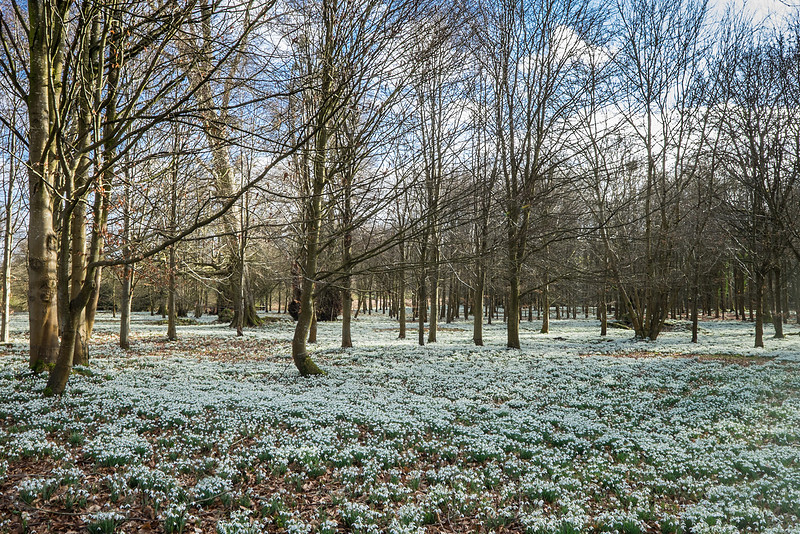 20150218-DSCF6366