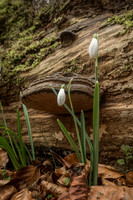 20150212-DSCF6003