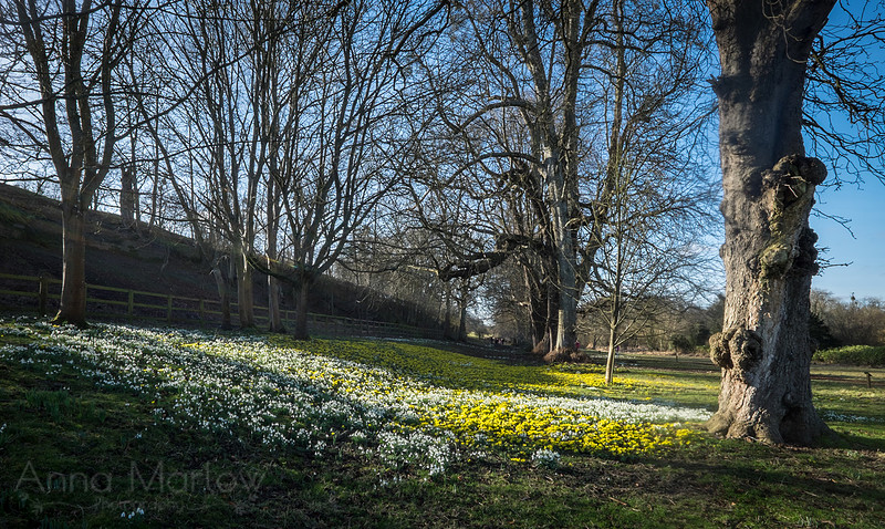20150218-DSCF6412