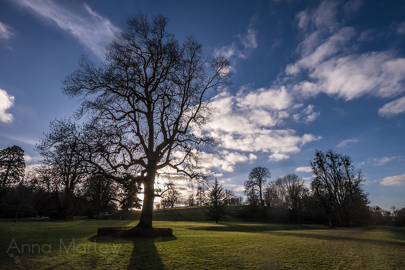 20150218-DSCF6438