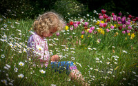 Spring in the churchyard!