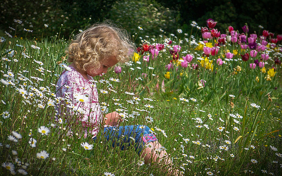 Spring in the churchyard!