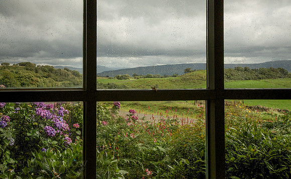 Rainy Day