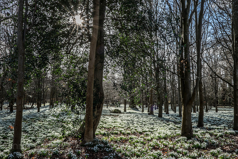 20150218-DSCF6369